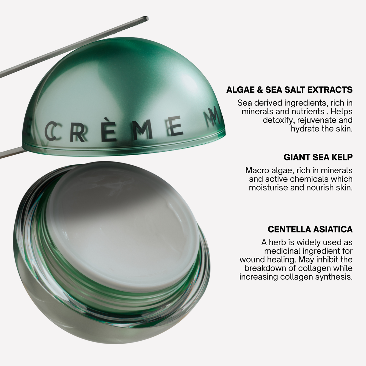 A green translucent cosmetic jar shown open with its lid half removed, accompanied by text callouts describing ingredients: algae & sea salt extracts, giant sea kelp, and centella asiatica. The background is plain white.