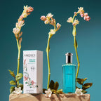 Jasmine fragrance and it's box featuring in this set up.